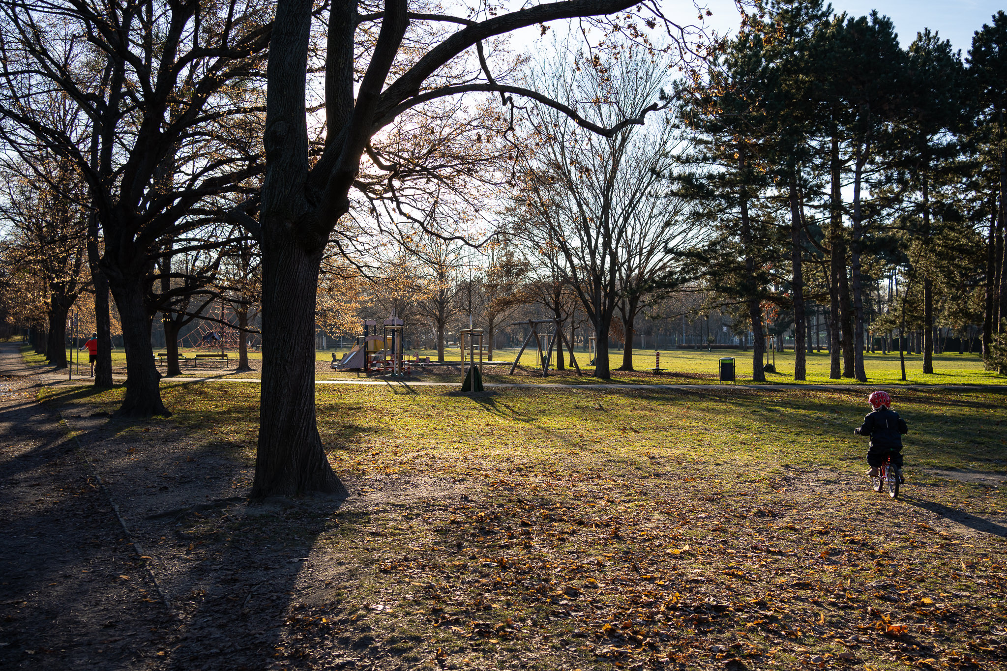 December Morning at Prater 1