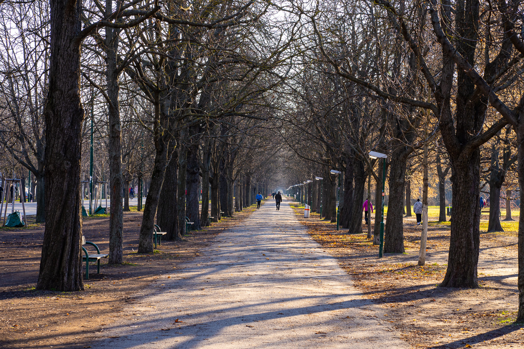 December Morning at Prater 2