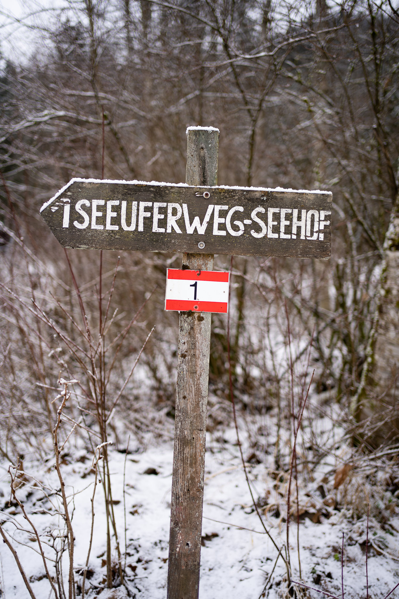 Winter walk at Lunzer See 2