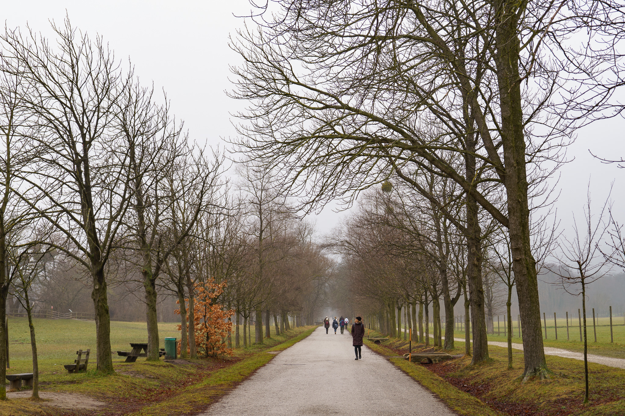 Lainzer Tiergarten