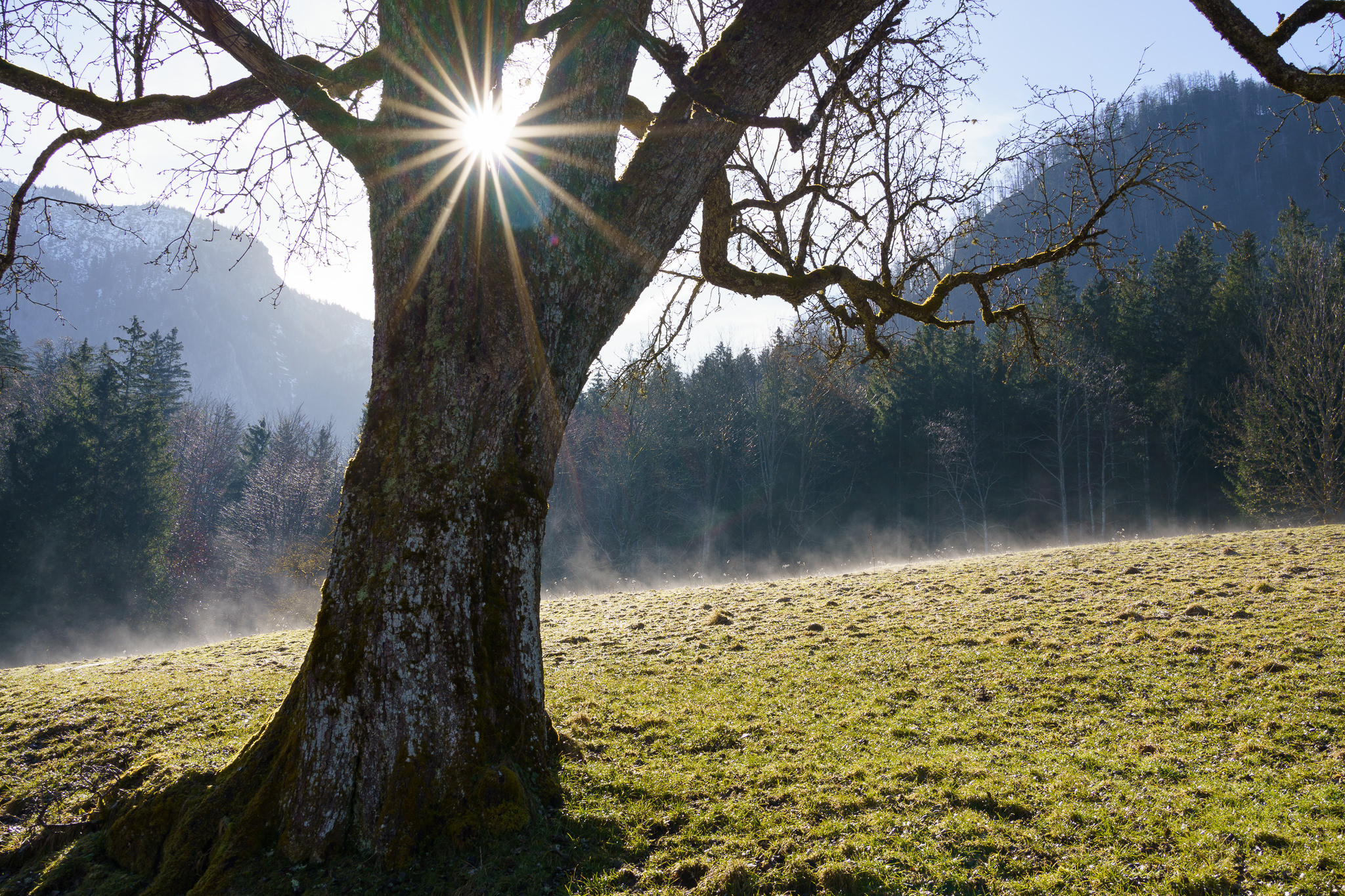 Walk around Lunzer See