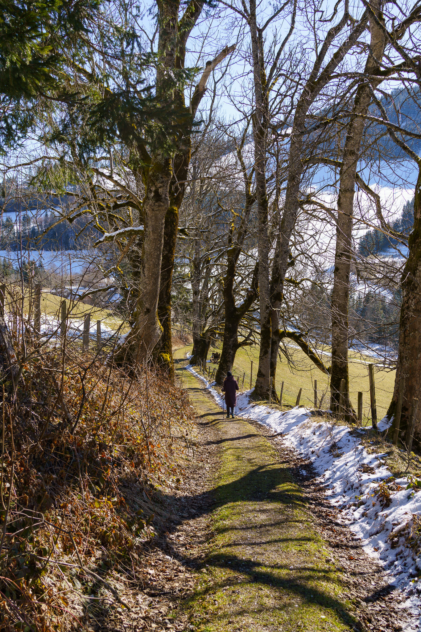 Rehberg - Lunz am See