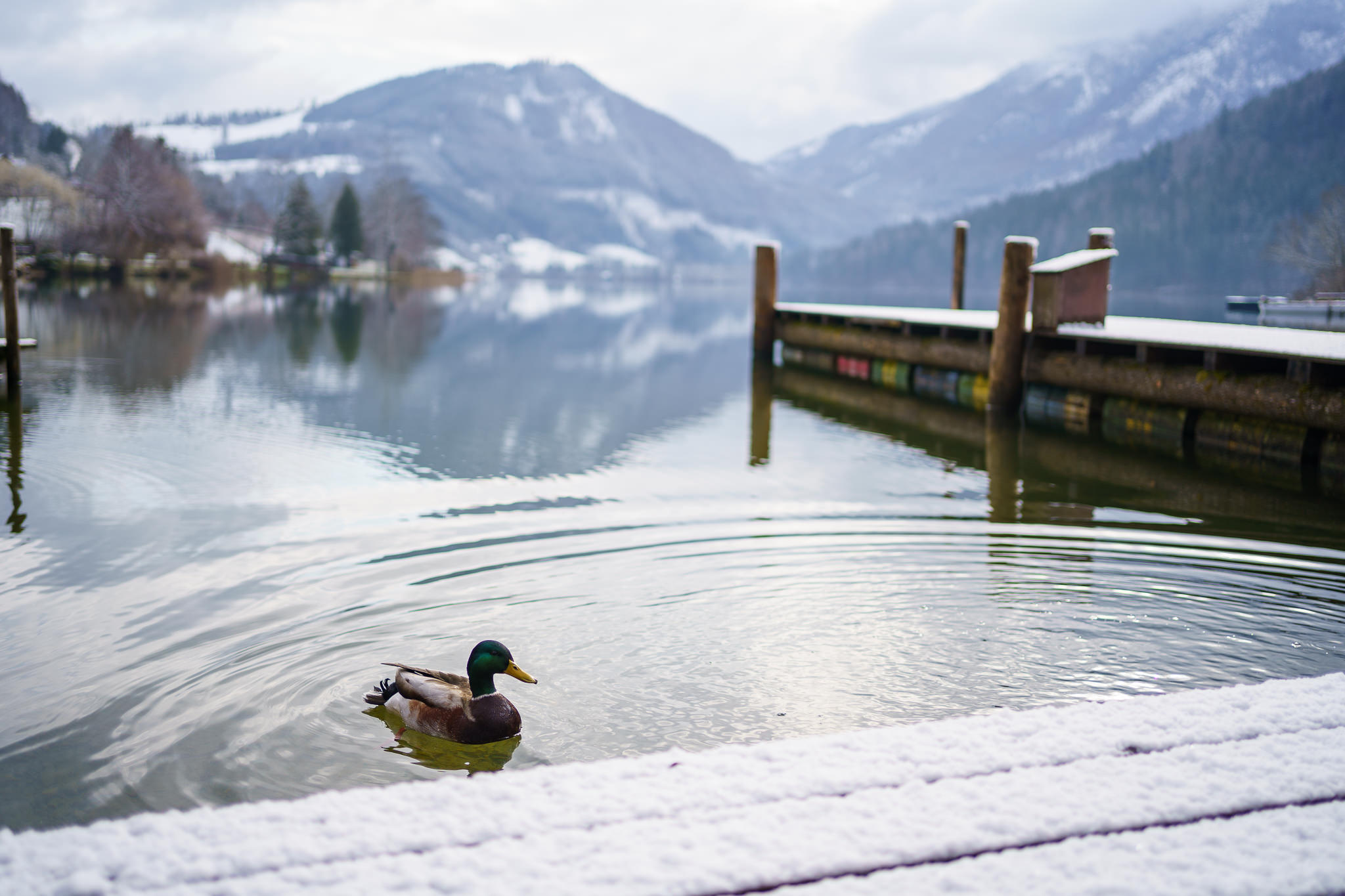 Lunz am See, Easter Sunday 2021