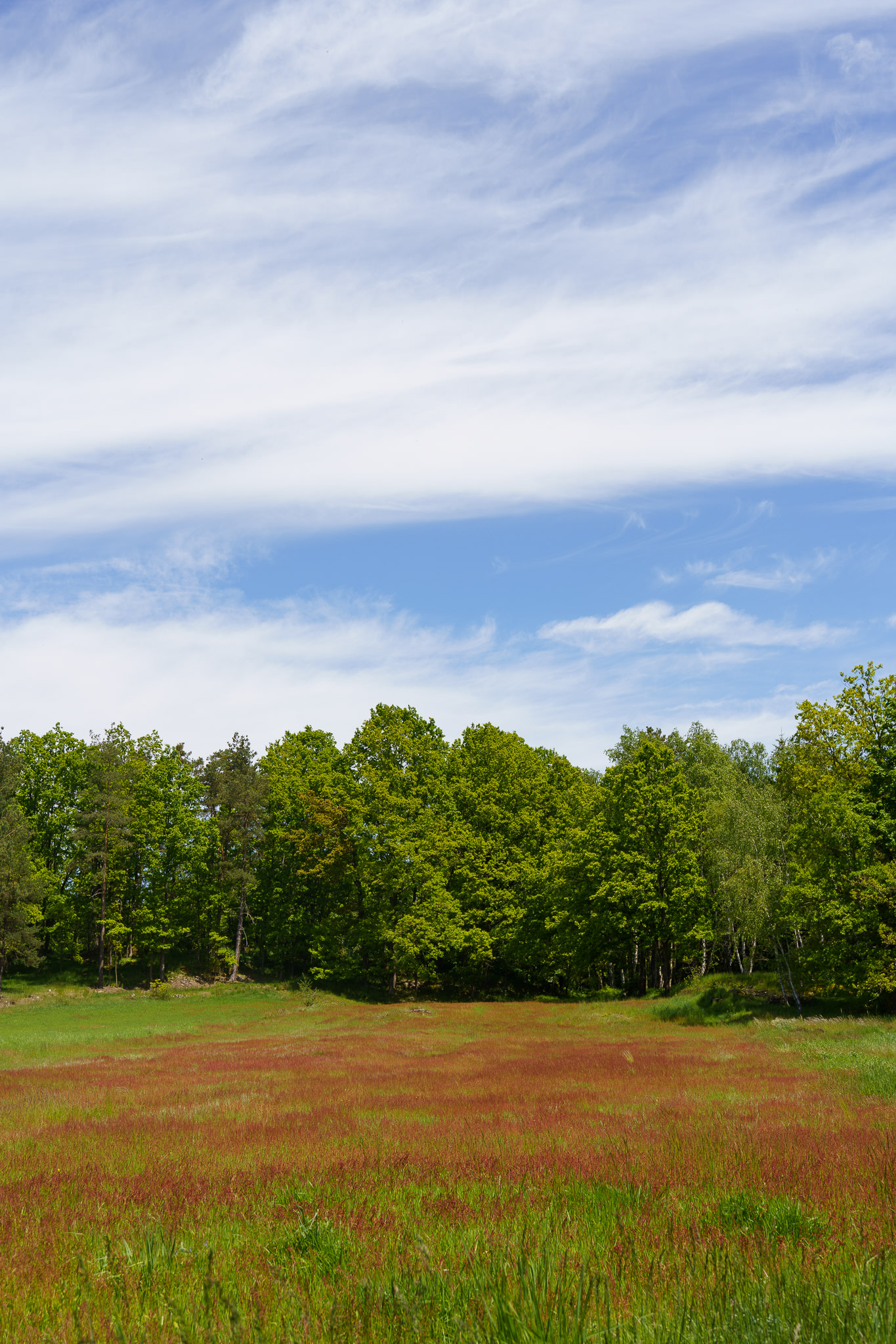 Blockheide Waldviertel