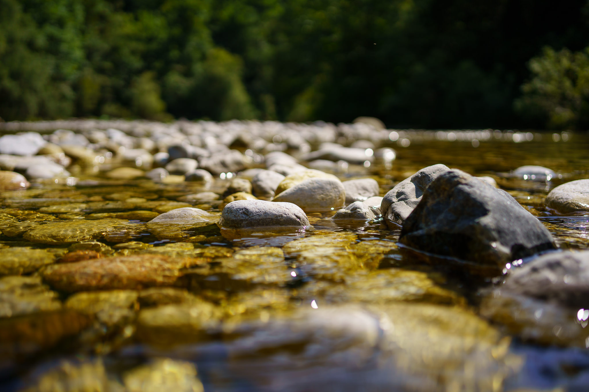 Walk along the Ois river in Lunz am See