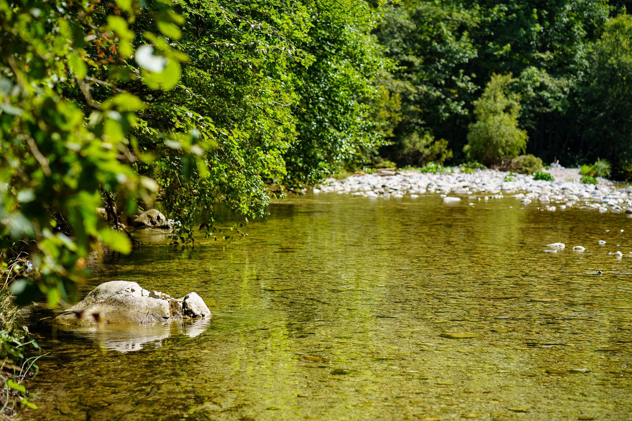 Walk along the Ois river in Lunz am See