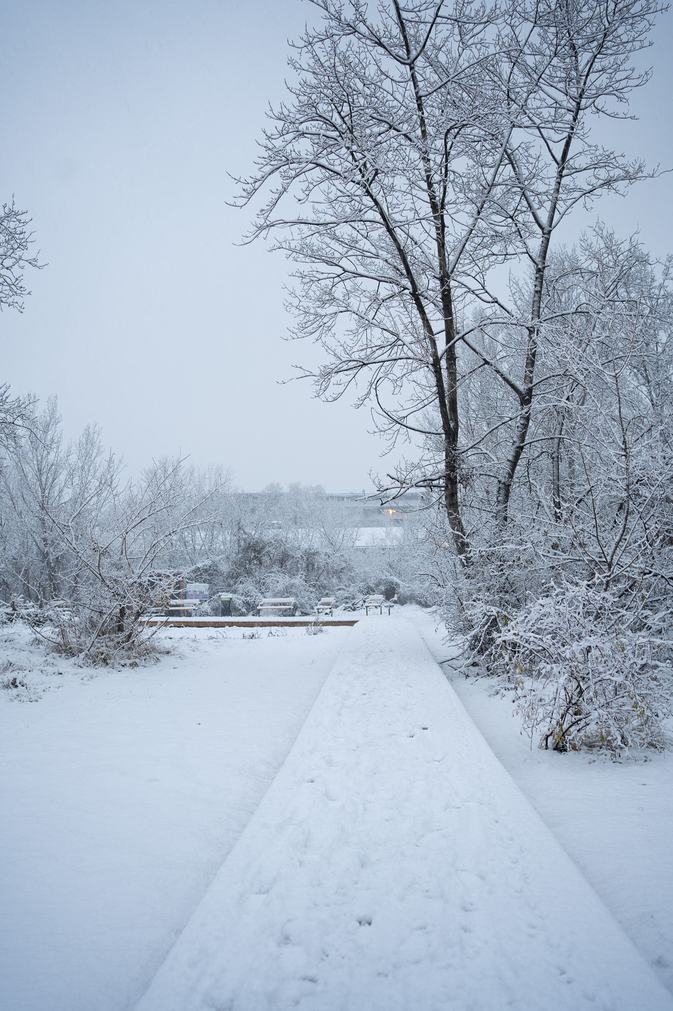 "Grätzl im Wandel" - Freie Mitte covered in Snow