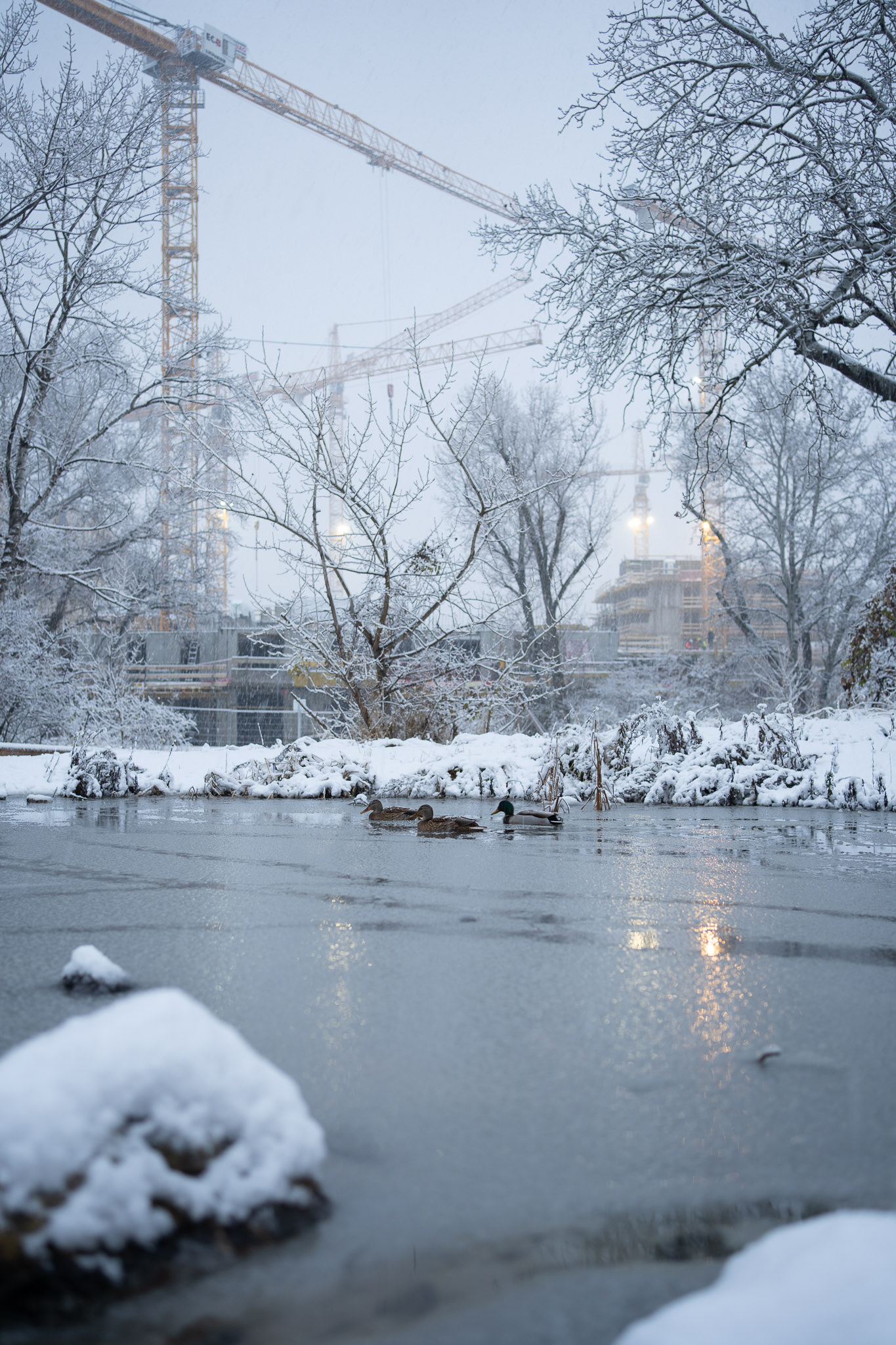 "Grätzl im Wandel" - Freie Mitte covered in Snow