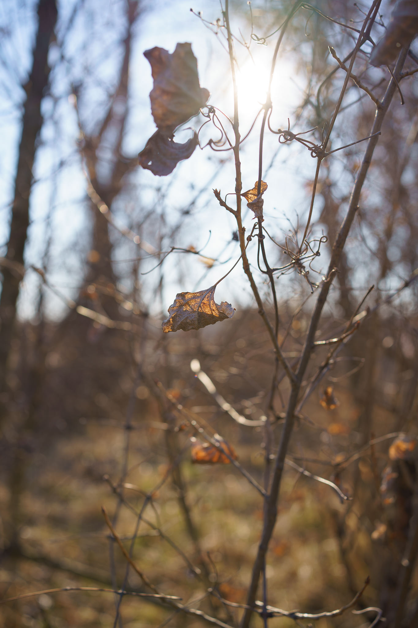 "Grätzl im Wandel" - Spring is coming - Freie Mitte