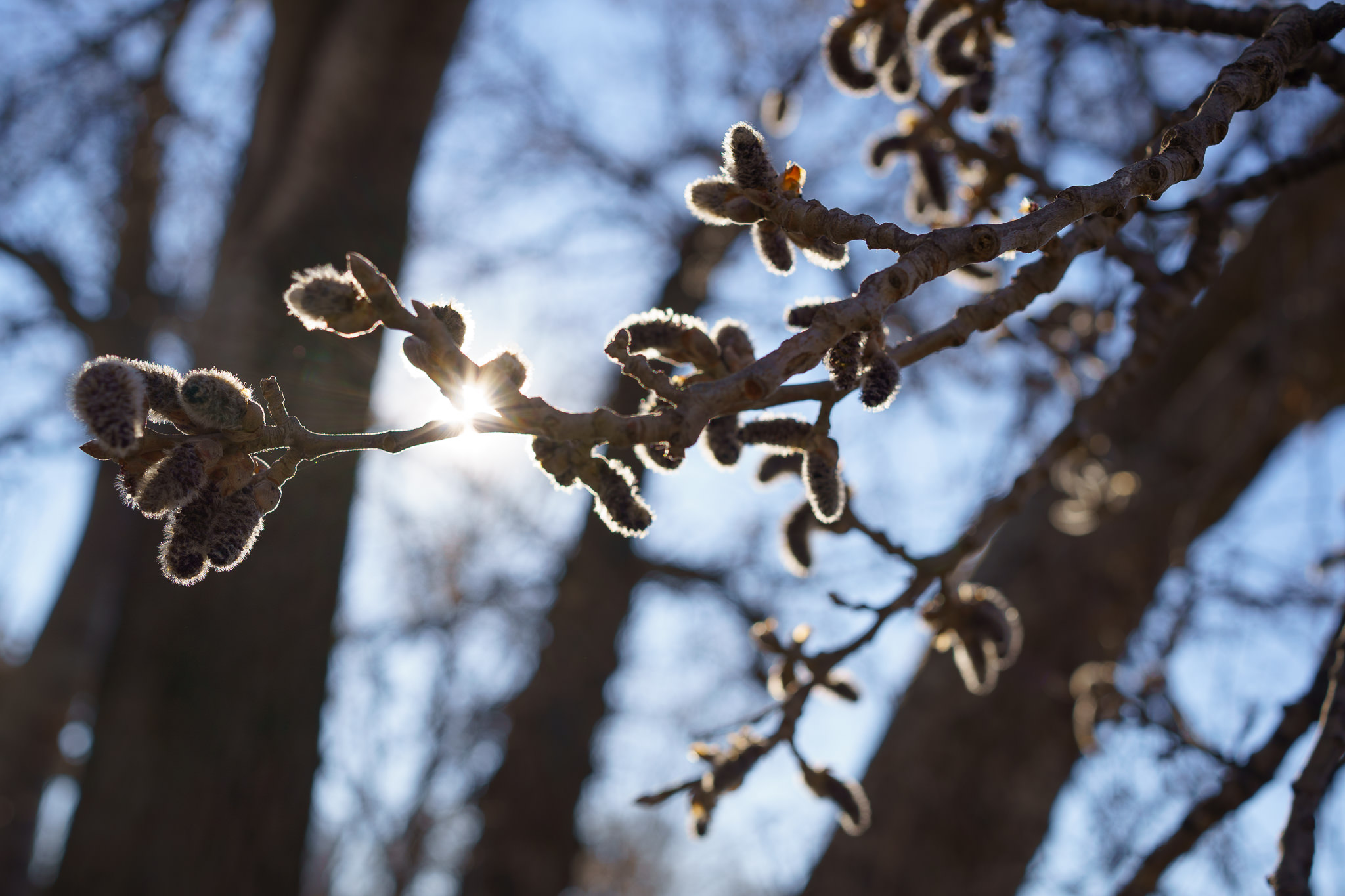 "Grätzl im Wandel" - Spring is coming - Freie Mitte