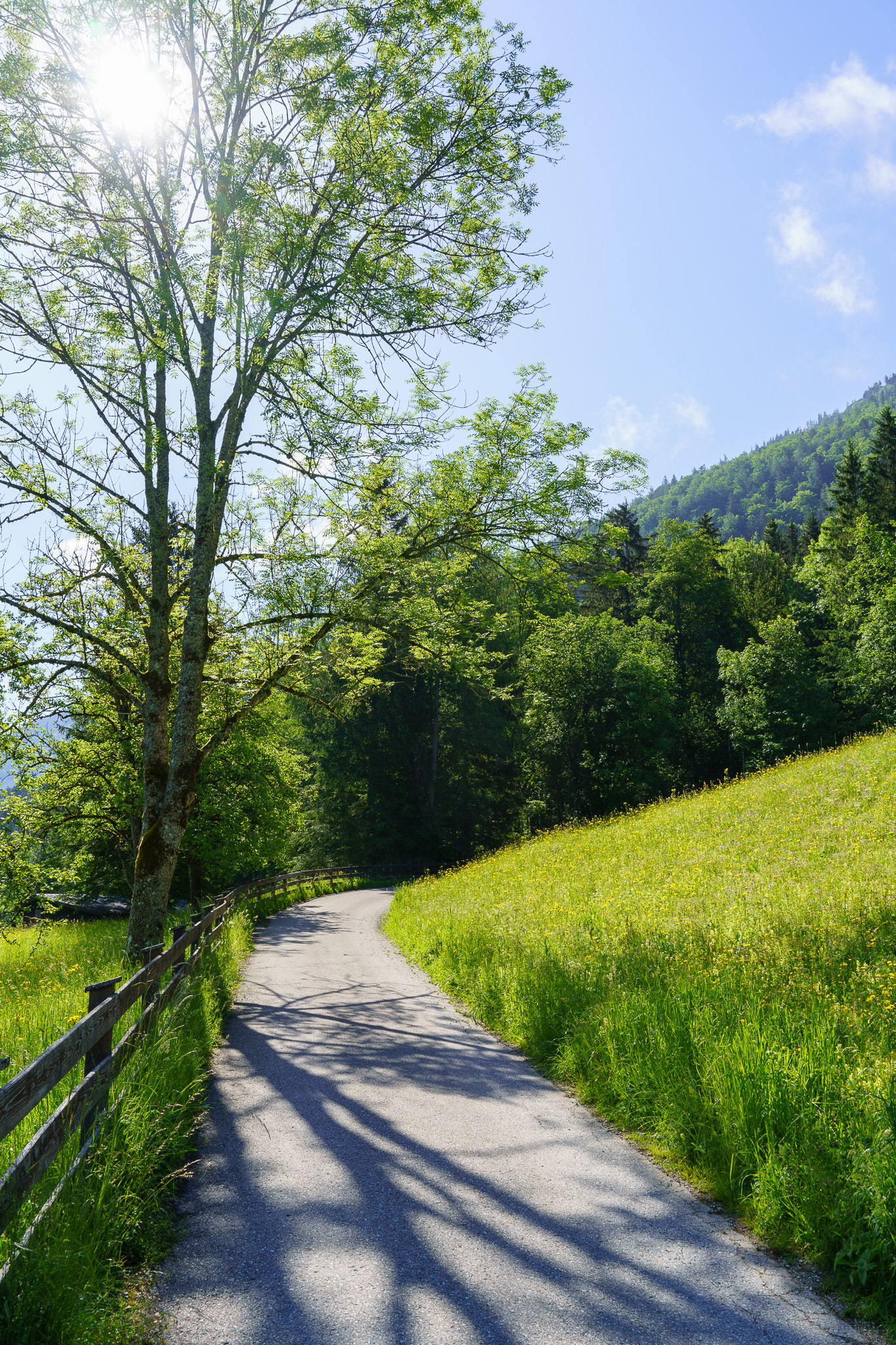 Lunzer See - Lunz am See