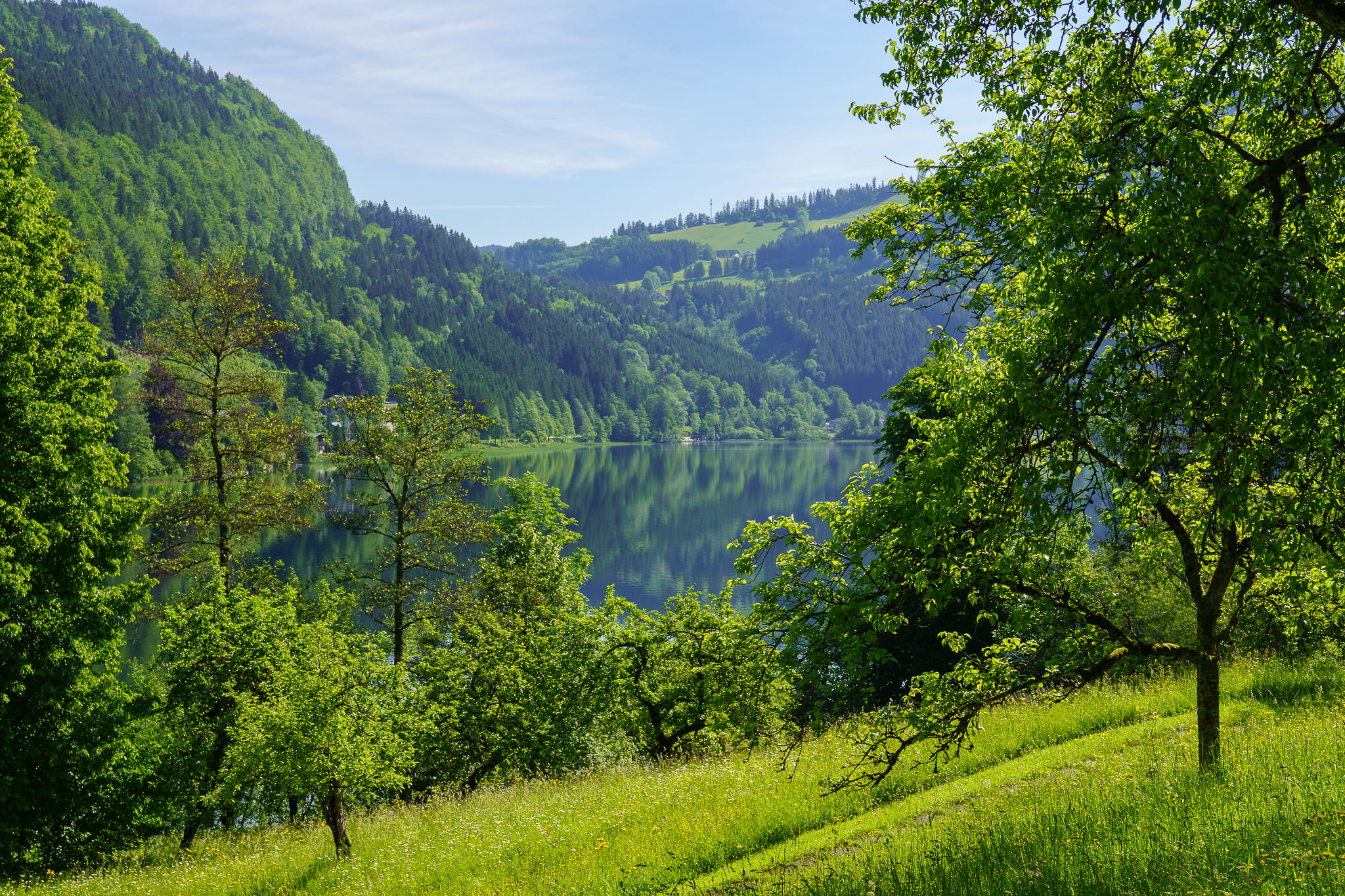 Lunzer See - Lunz am See