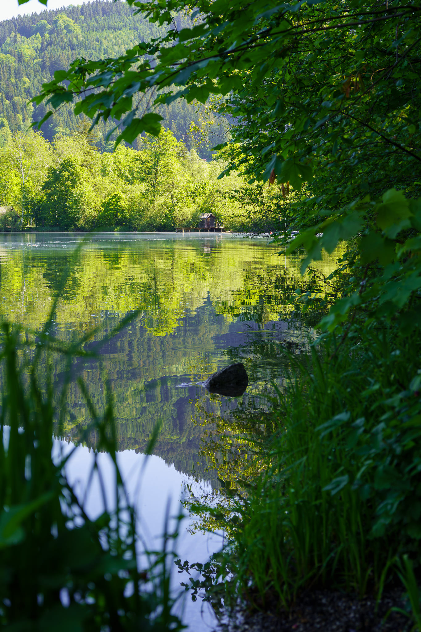 Lunzer See - Lunz am See