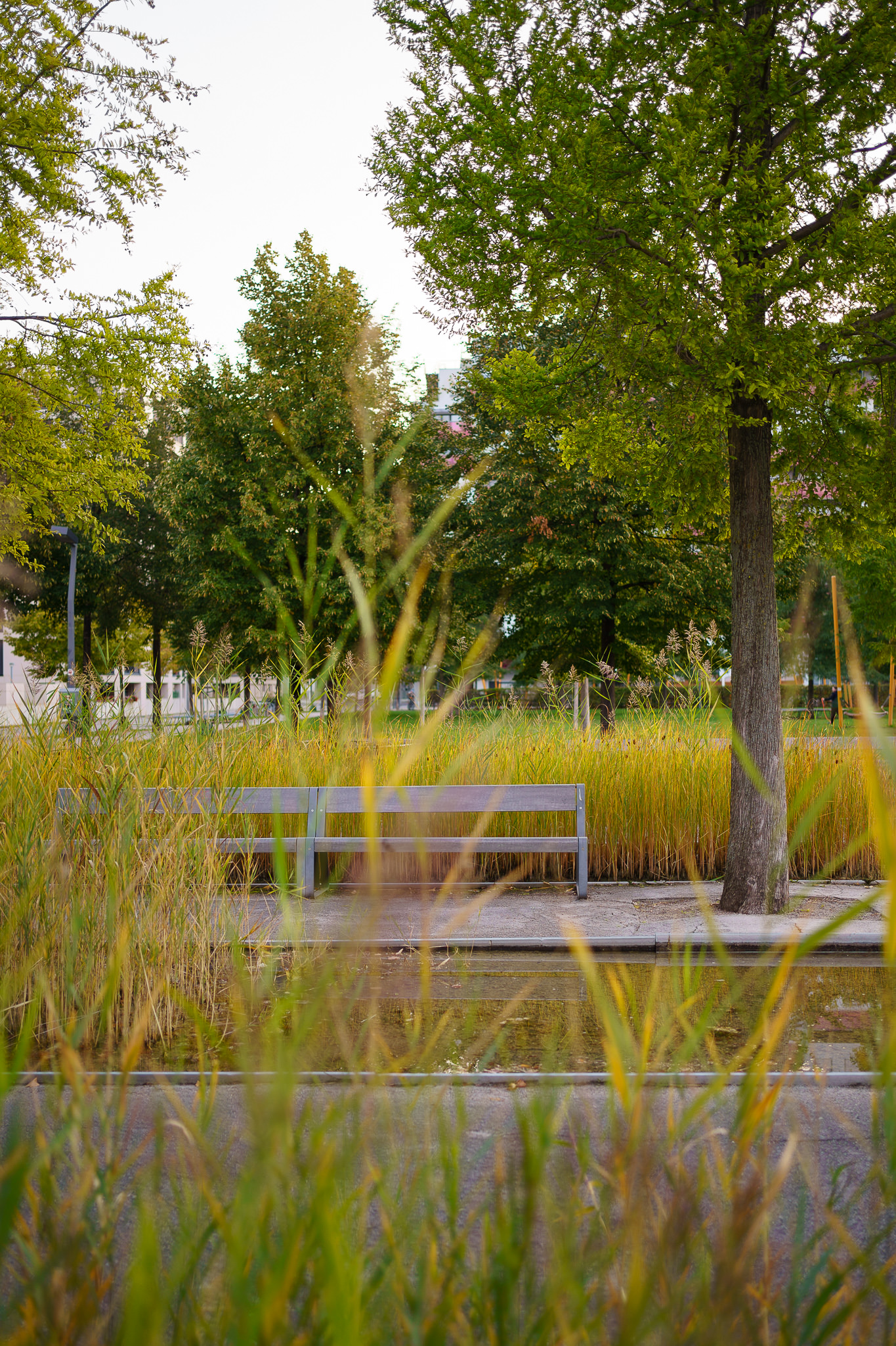 "Grätzl im Wandel" - A morning at Vienna's Nordbahnhof in Autumn