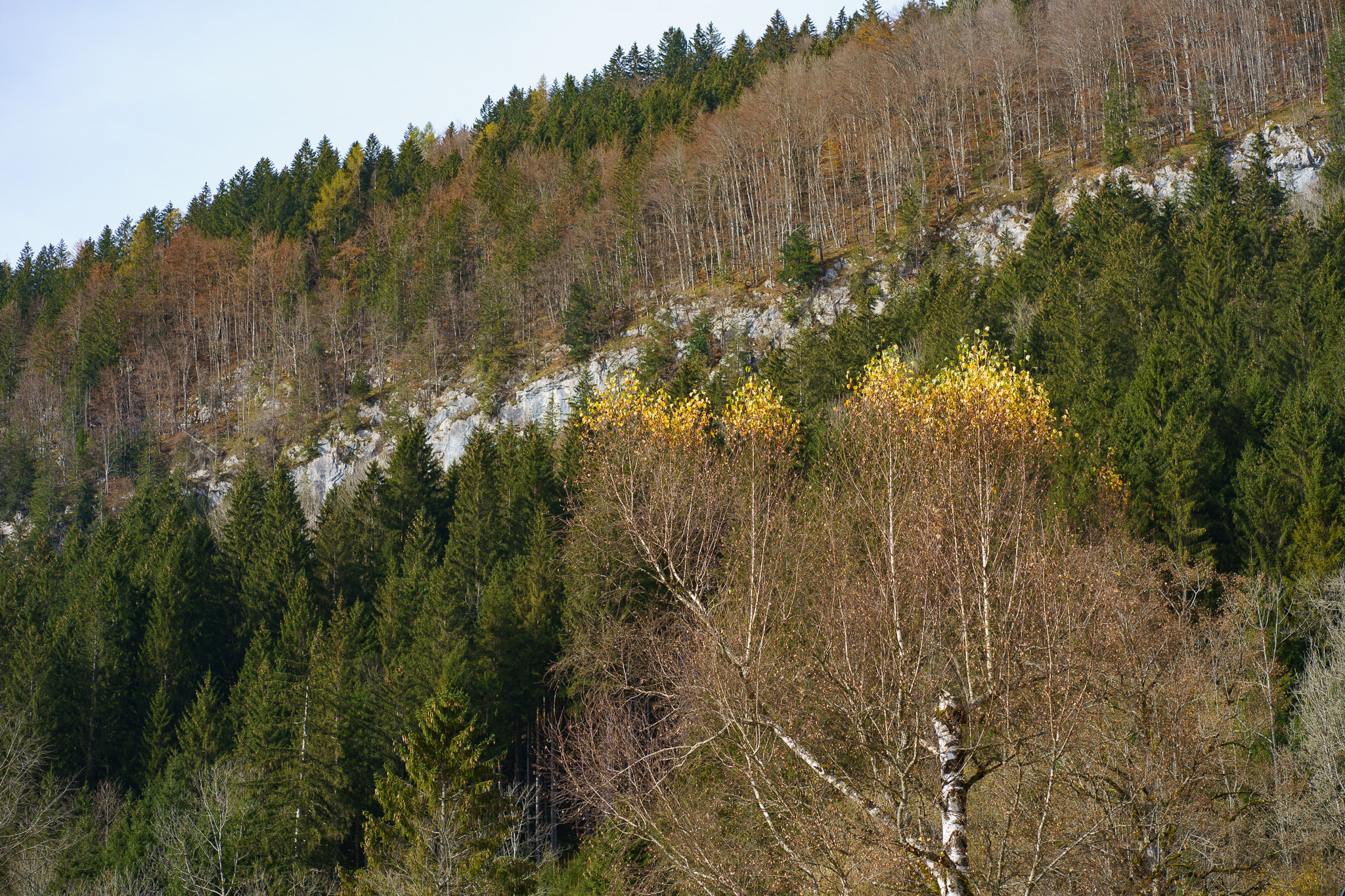 Autumn in Lunz am See