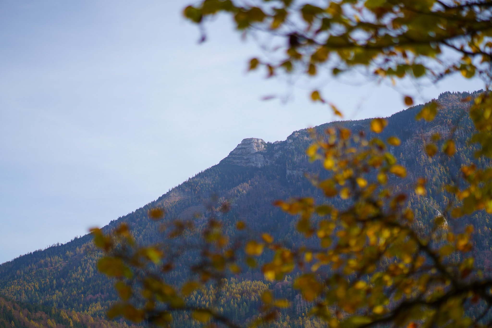 Autumn in Lunz am See