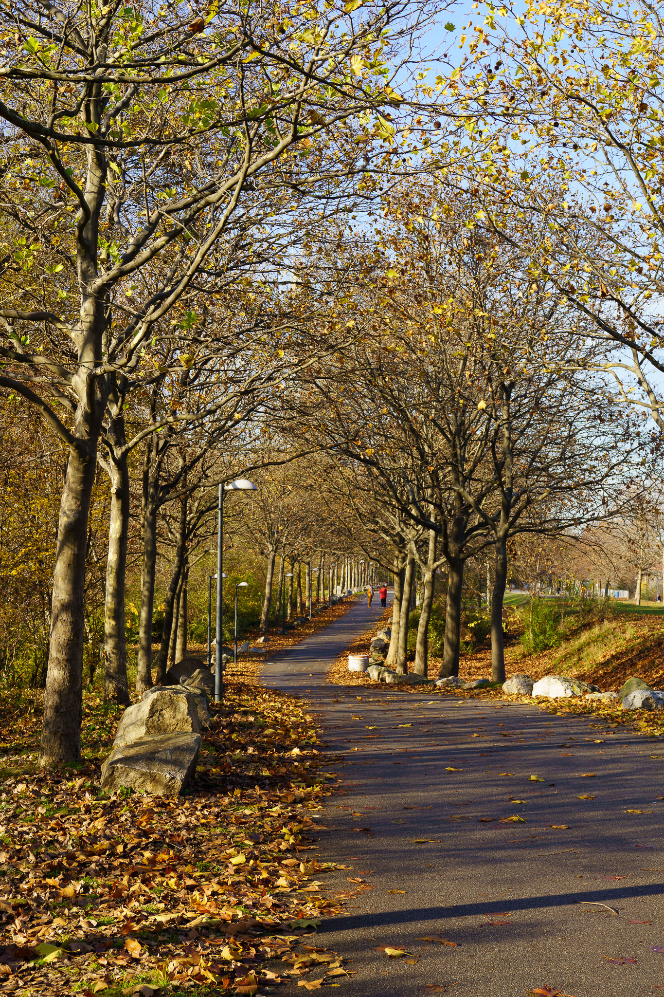 Donauinsel Vienna in autumn sun