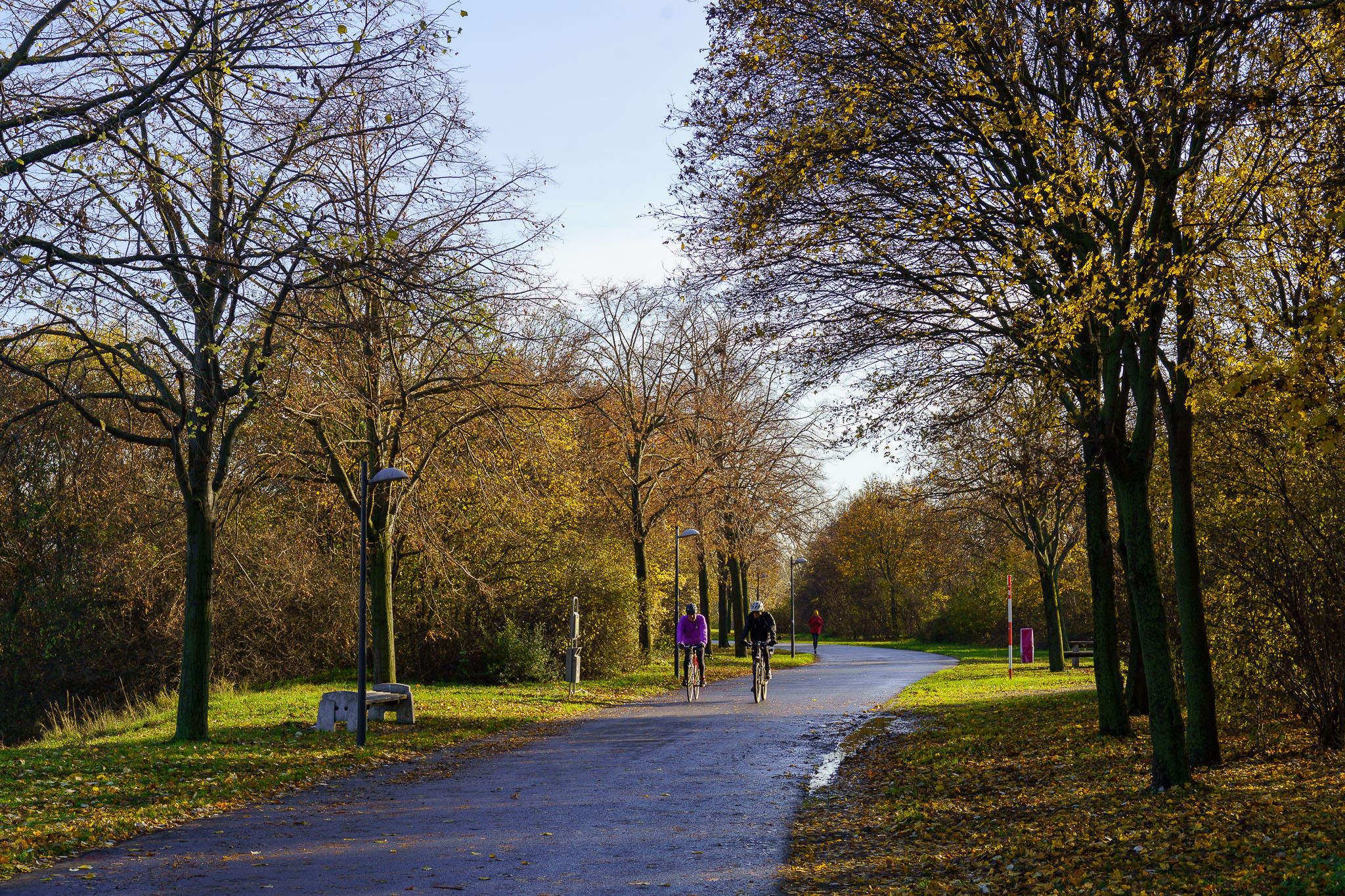 Donauinsel Vienna in autumn sun