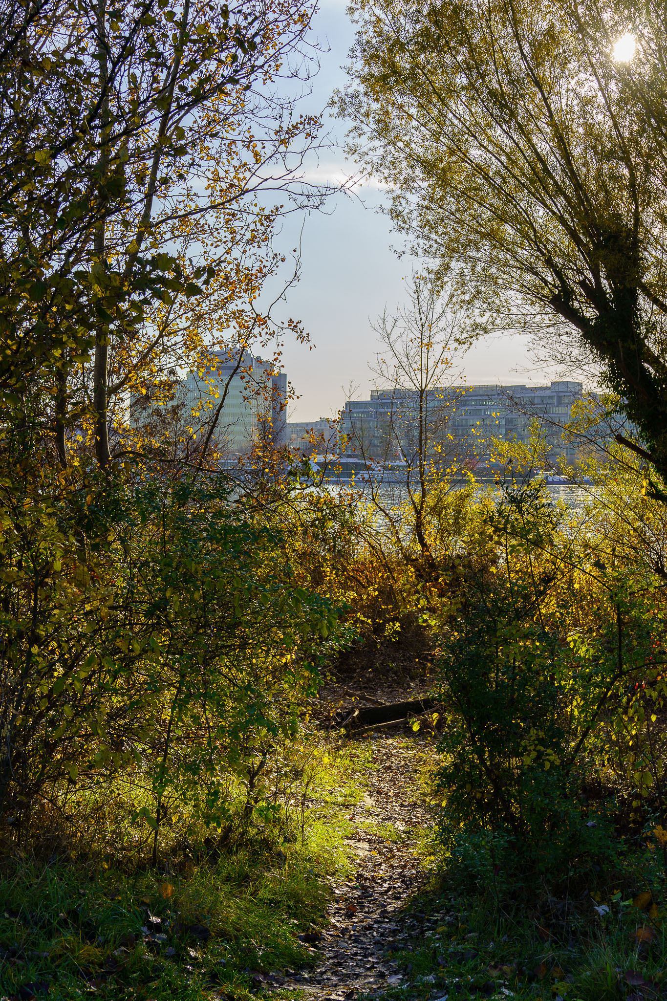 Donauinsel Vienna in autumn sun