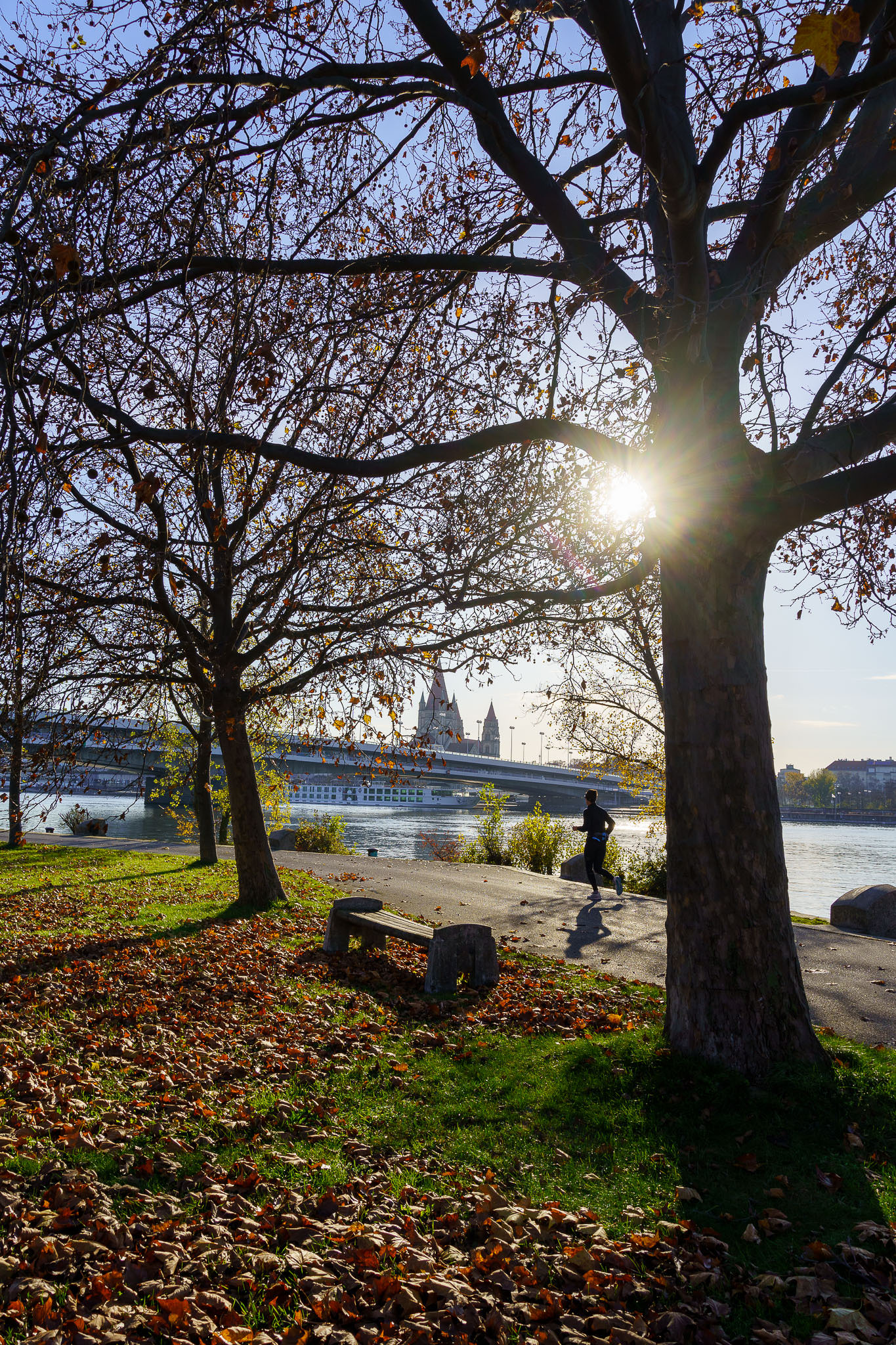 Donauinsel Vienna in autumn sun