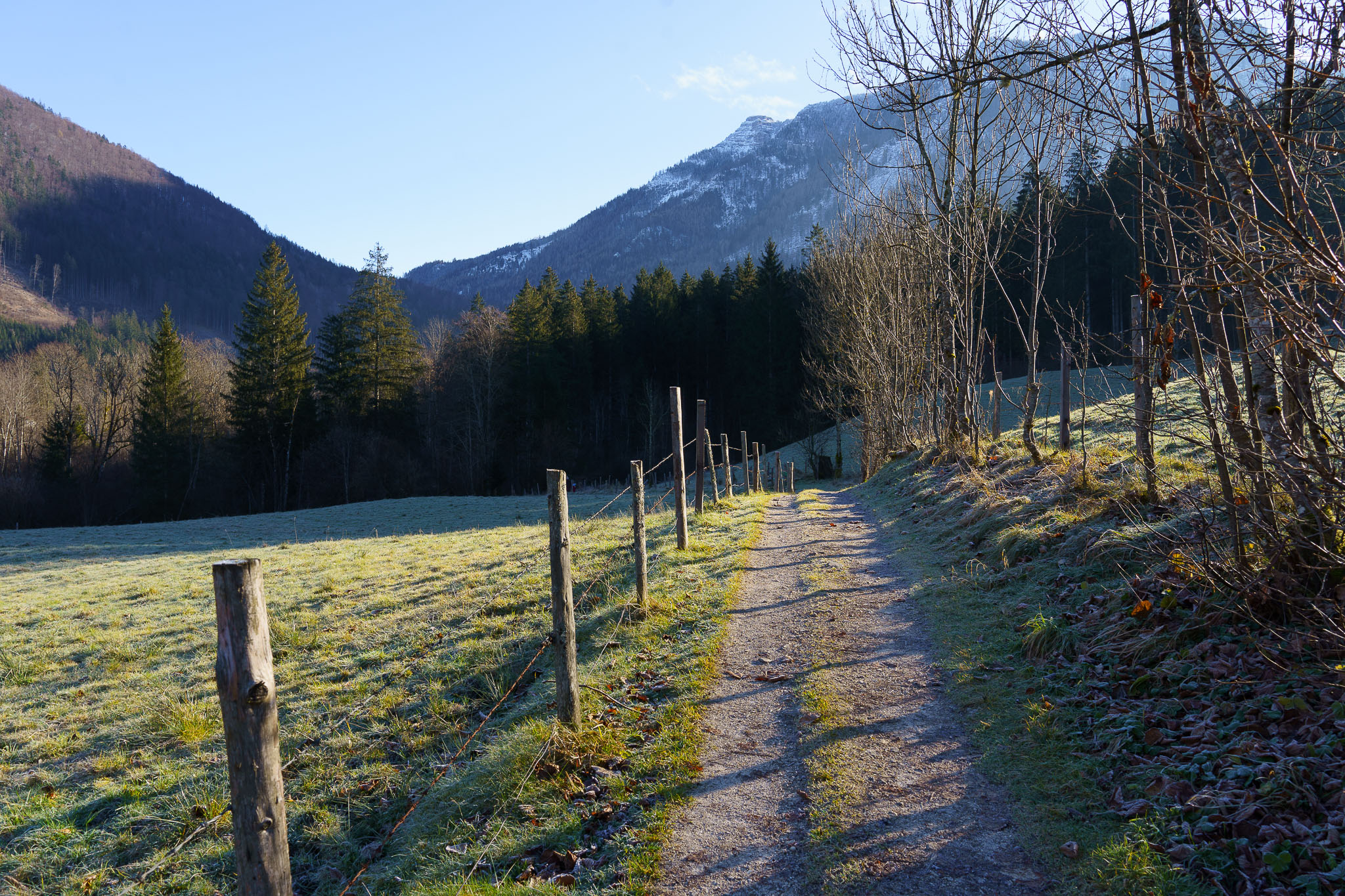 Lunzer See Winter