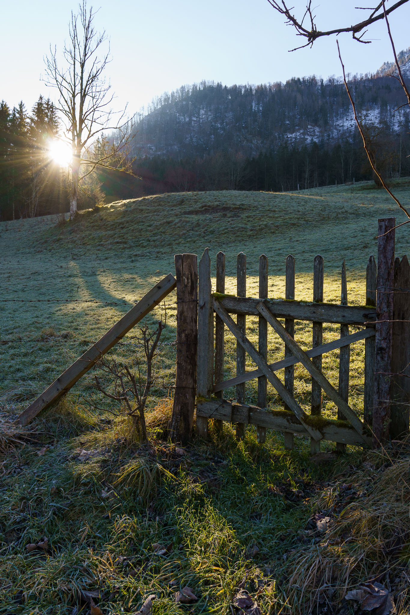 Lunzer See Winter