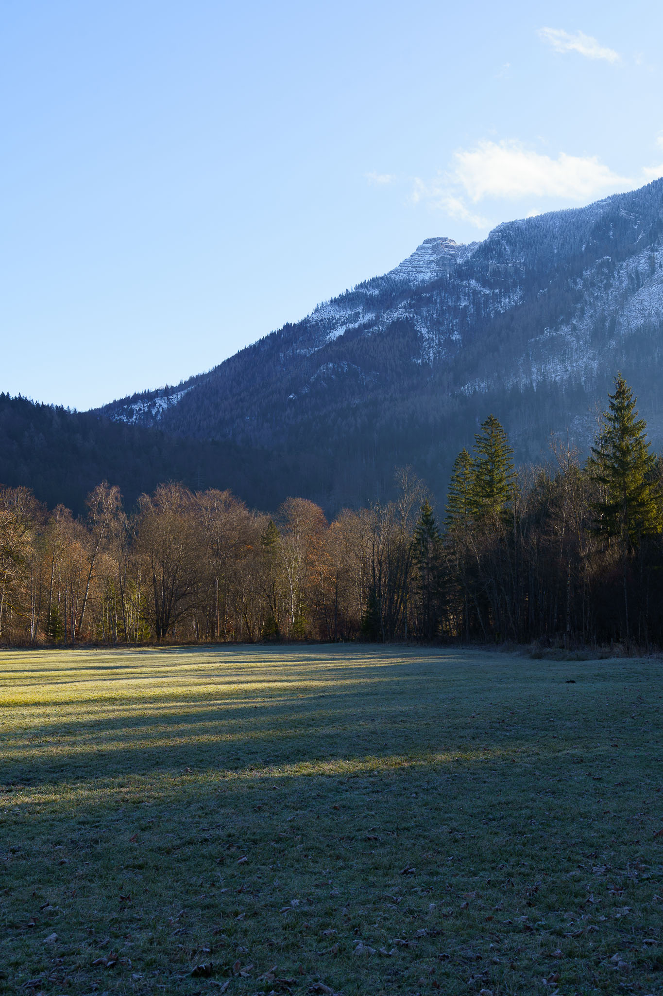 Lunzer See Winter