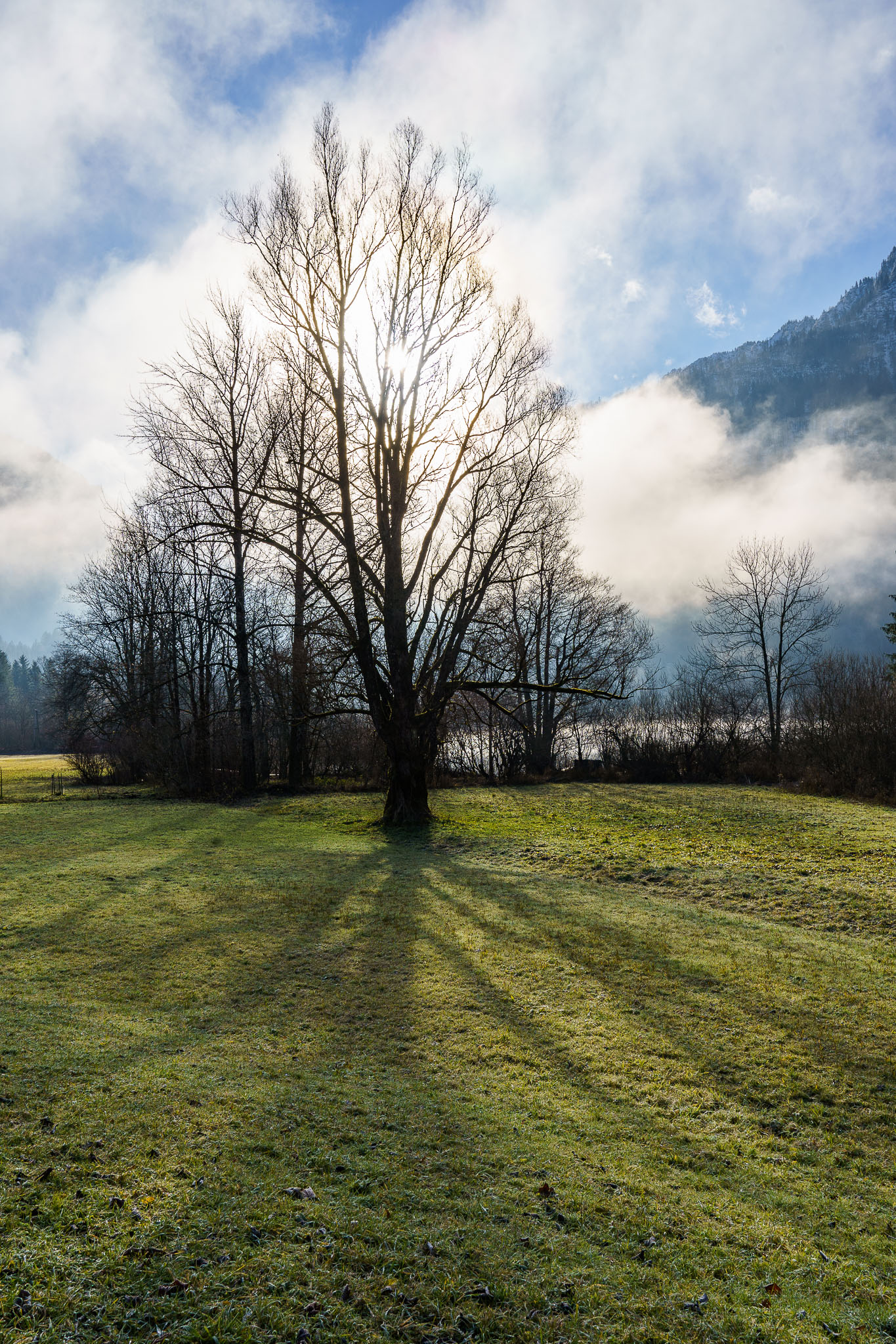 Lunzer See Winter