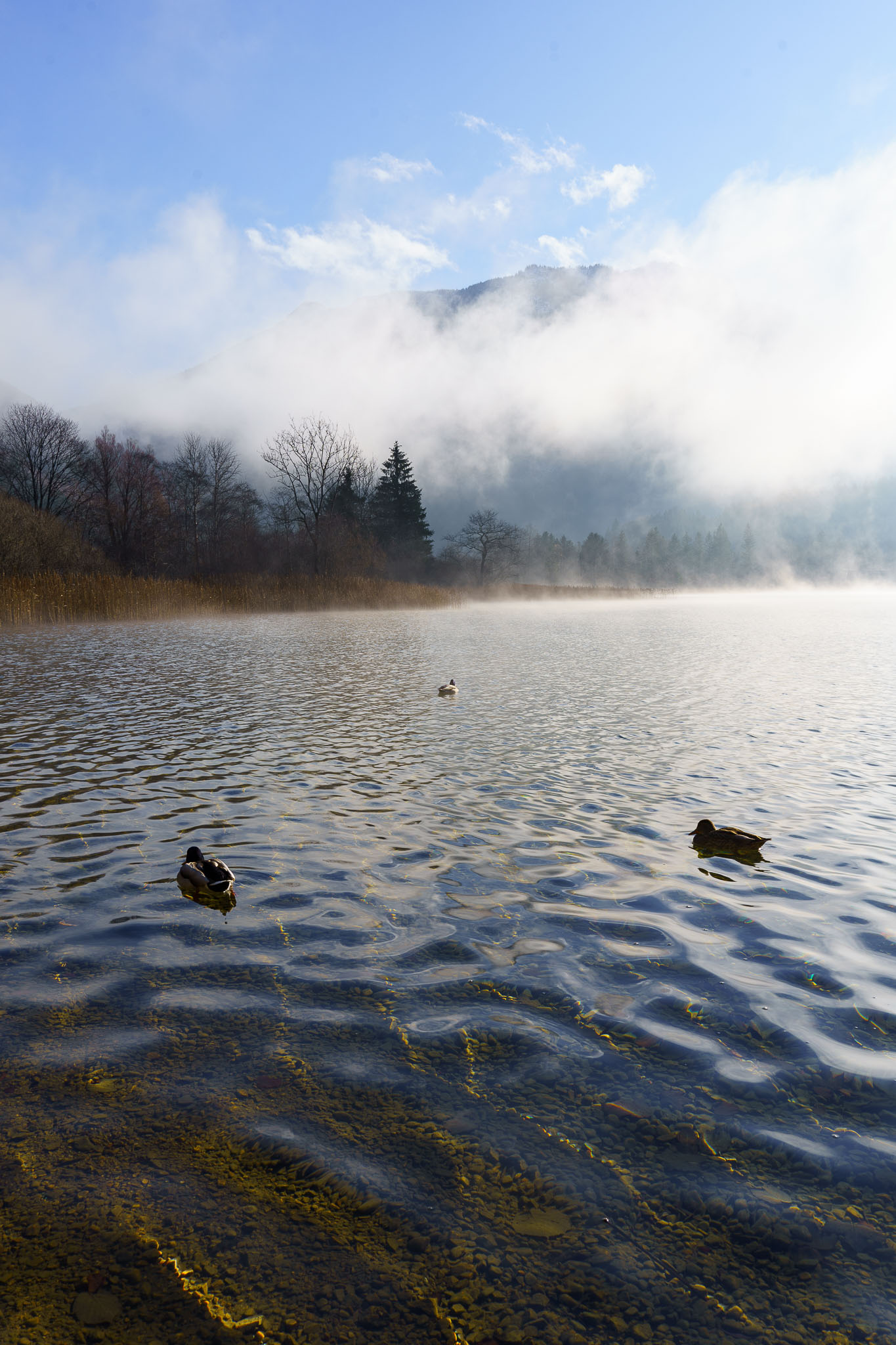 Lunzer See Winter