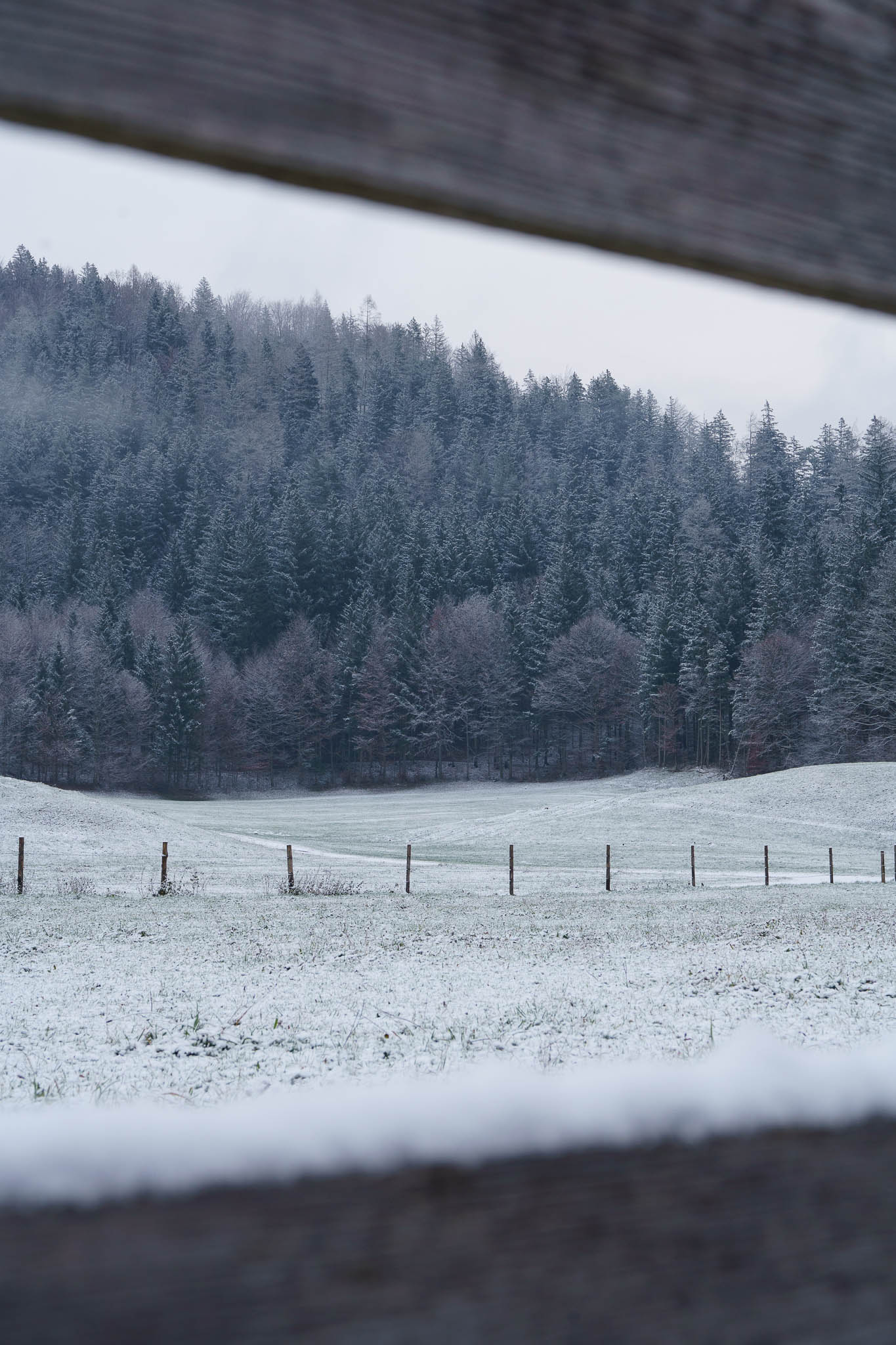 Lunzer See winter with snow