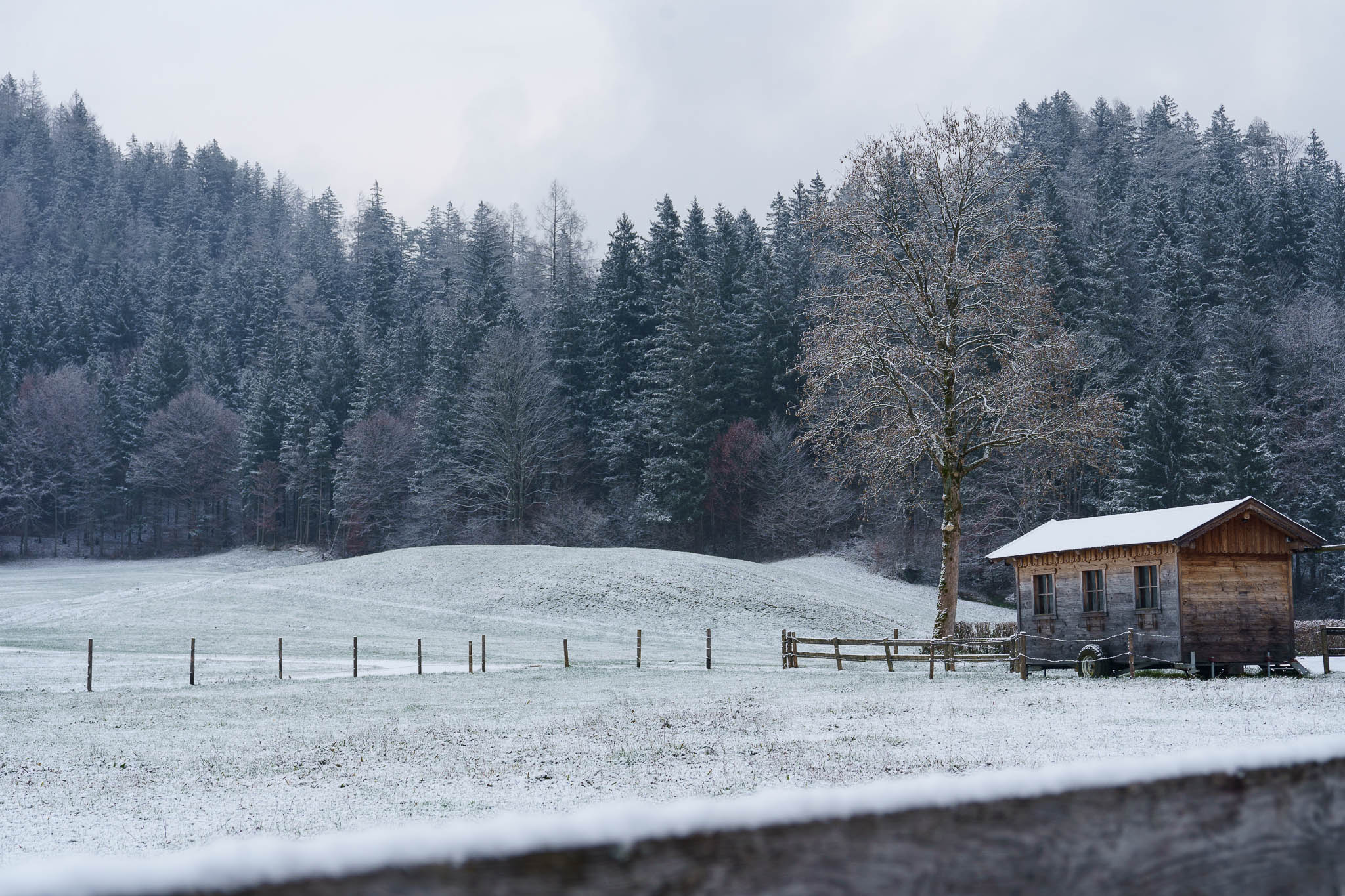 Lunzer See winter with snow