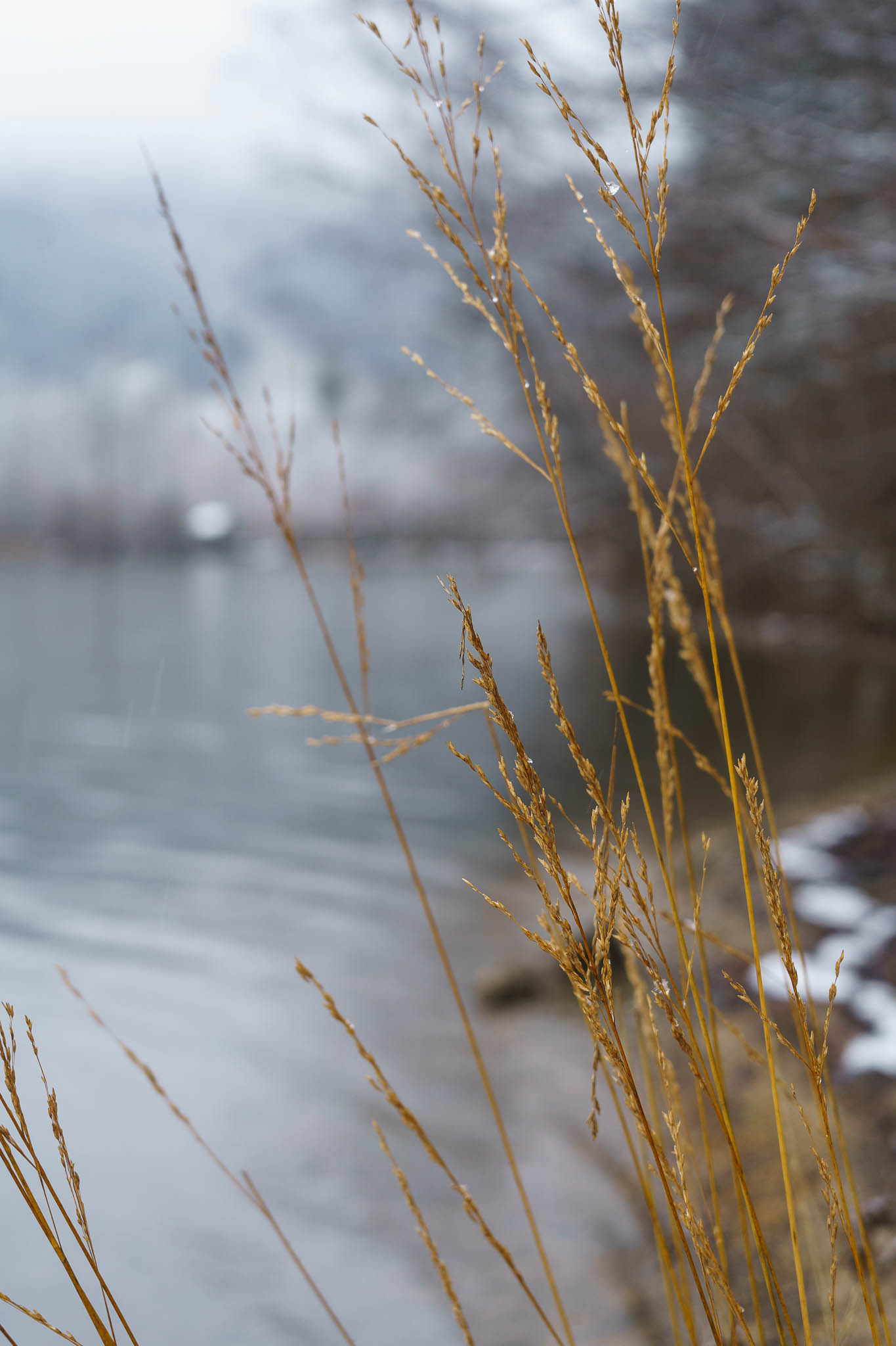 Lunzer See winter with snow