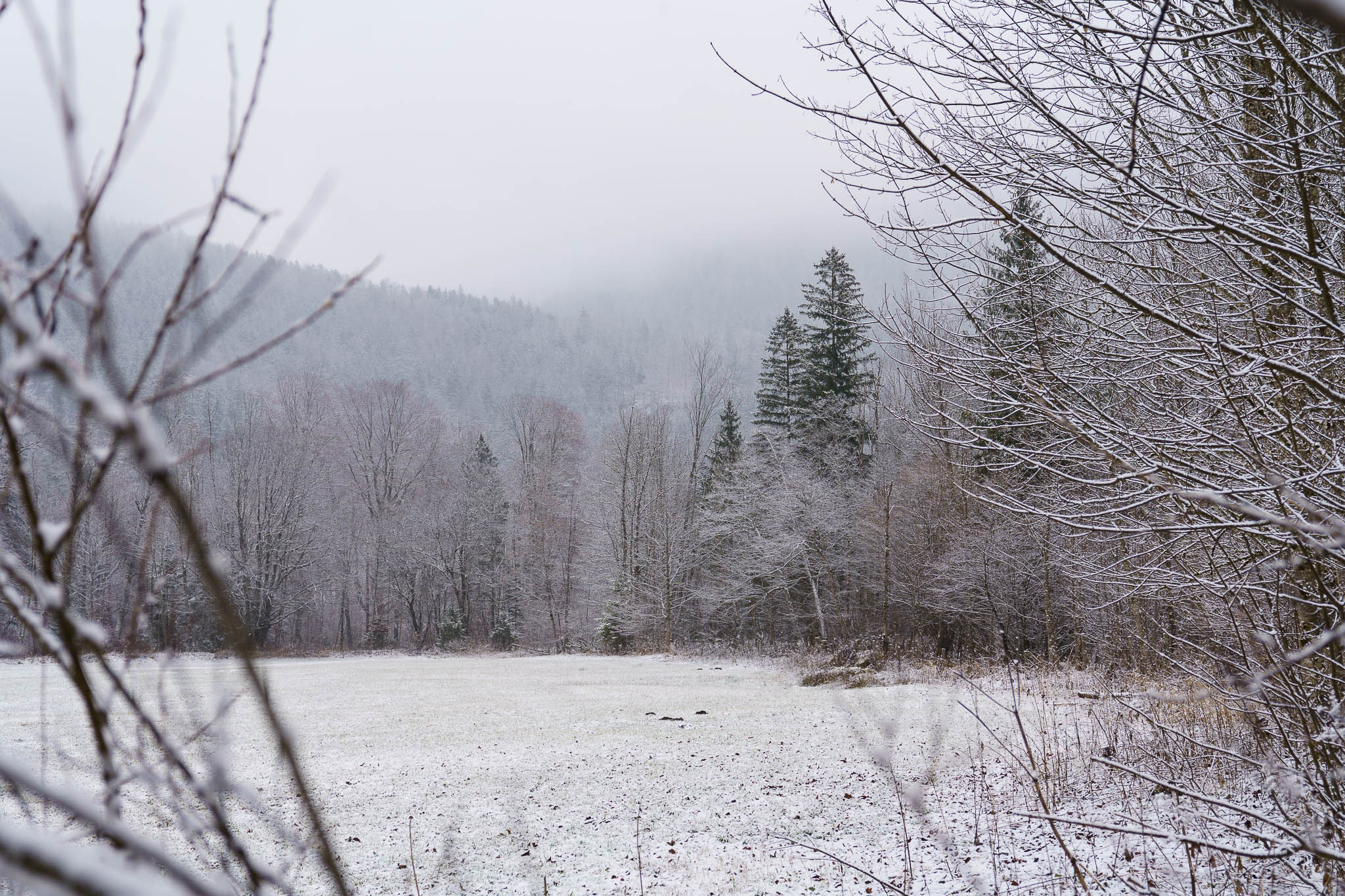 Lunzer See winter with snow