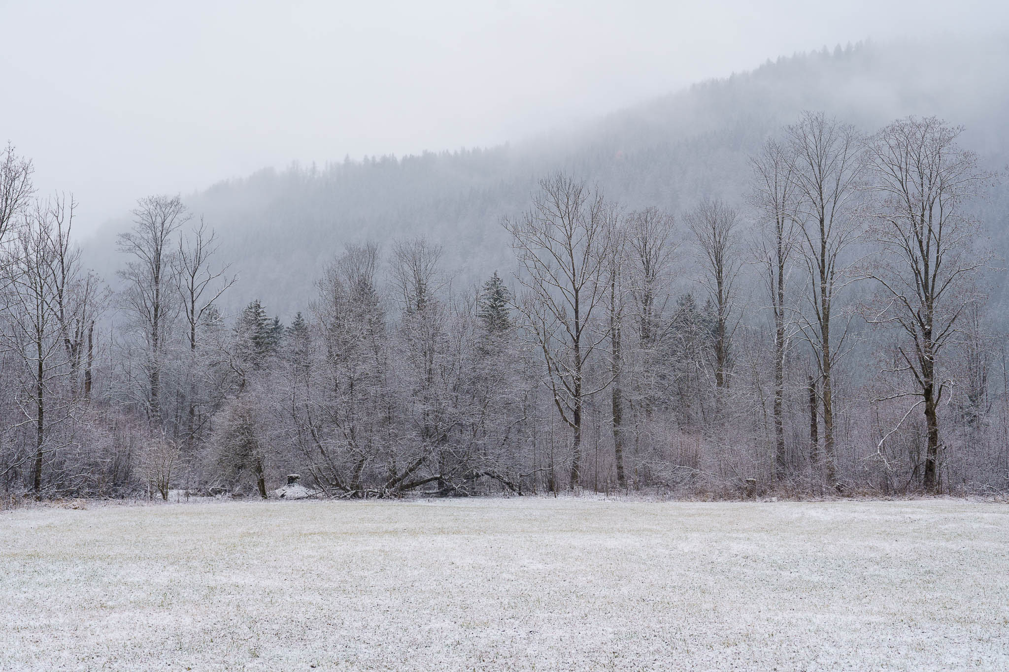 Lunzer See winter with snow