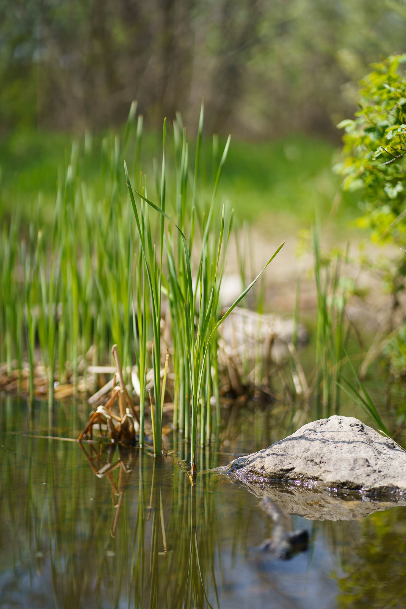 Nordbhahnhof spring details