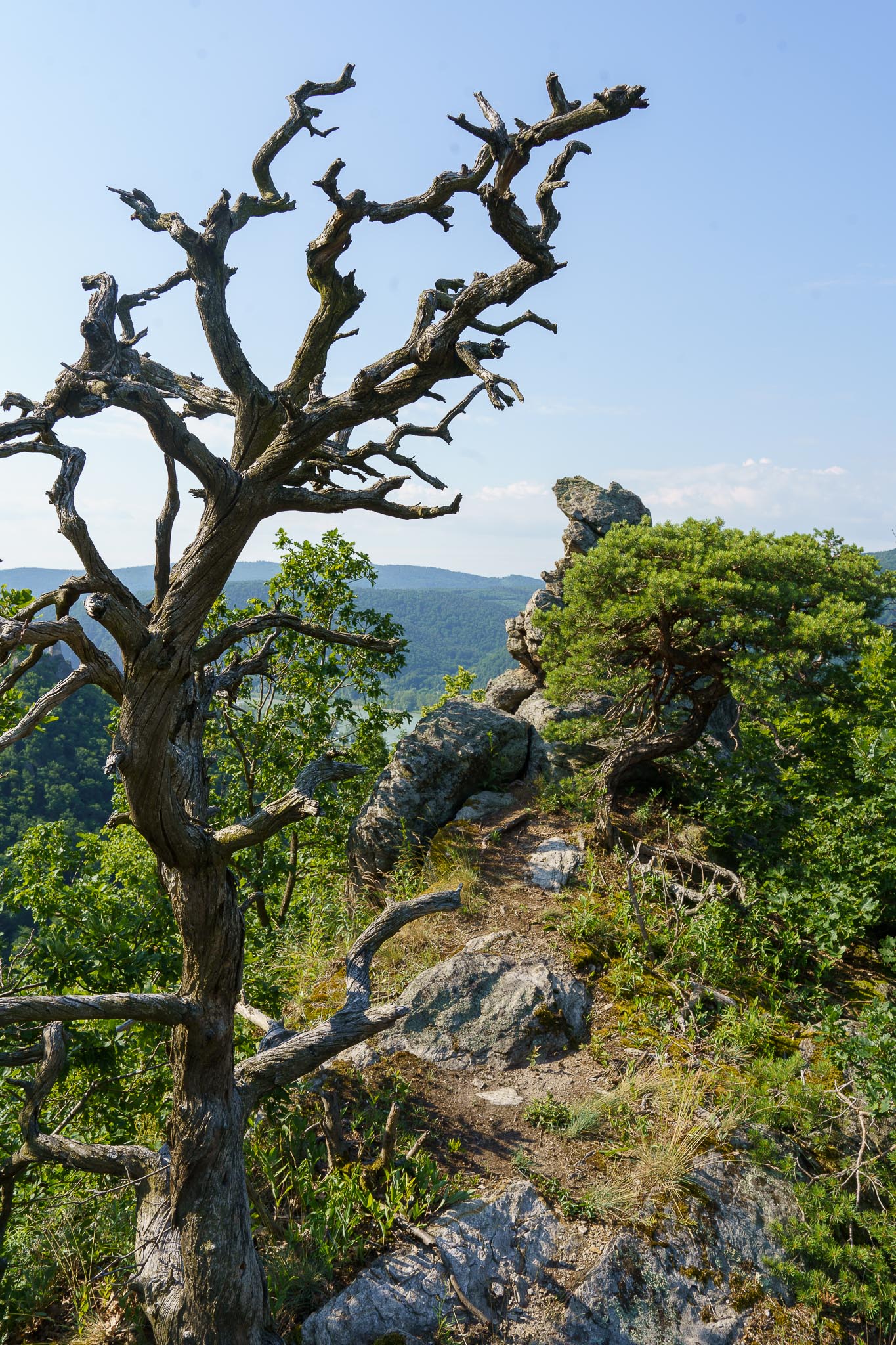 Vogelbergsteig, Dürnstein, Wachau, Lower Austria