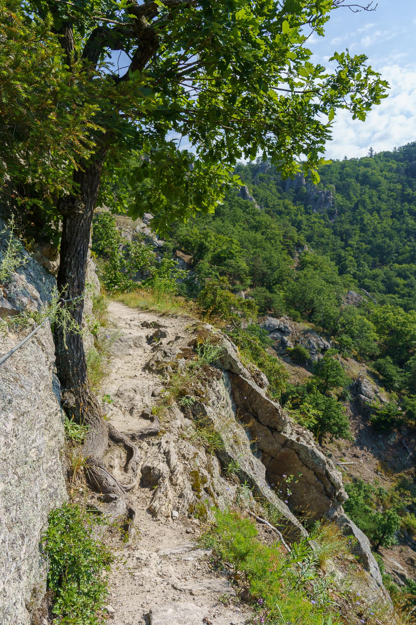 Vogelbergsteig, Dürnstein, Wachau, Lower Austria