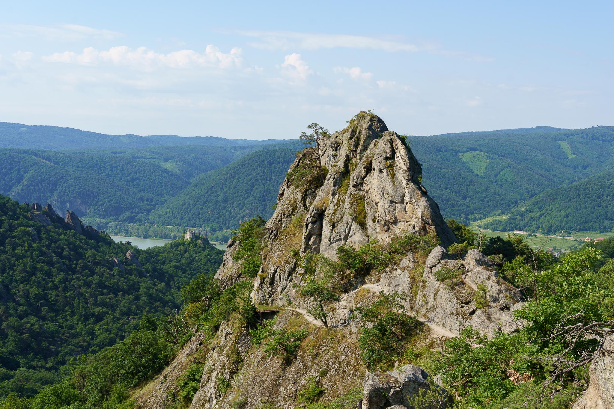 Vogelbergsteig, Dürnstein, Wachau, Lower Austria