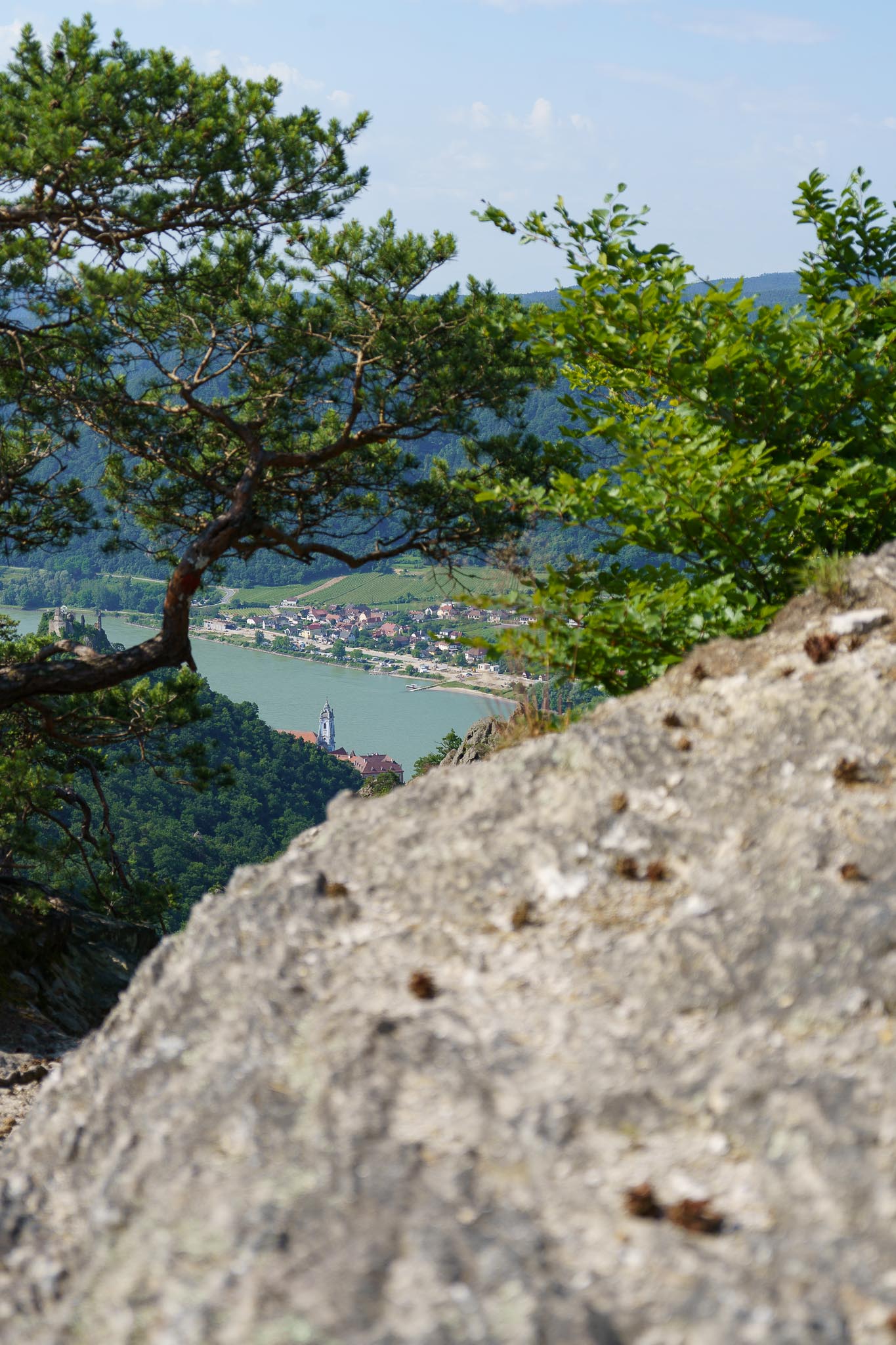 Vogelbergsteig, Dürnstein, Wachau, Lower Austria