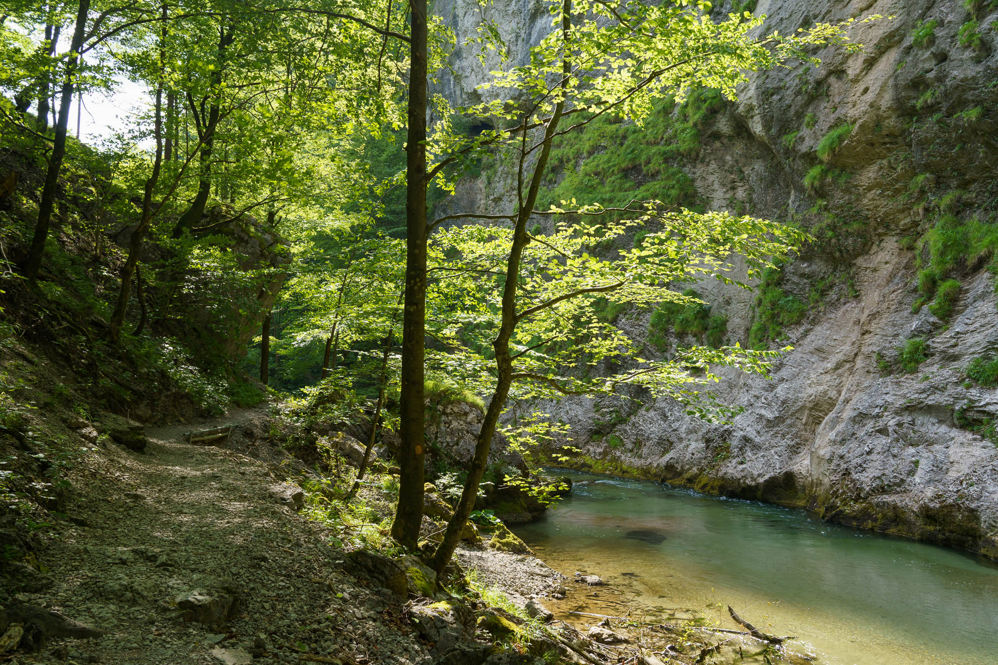 Tormäuer