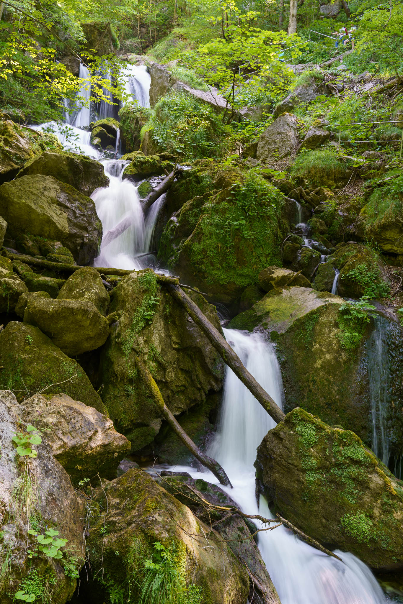 Tormäuer